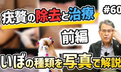 川芎主治功效与作用-川芎主要功效专区_川芎茶的功效与作用和主治专区_川芎茶的功效与作用网